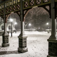 Central Park By Night And Snowfall